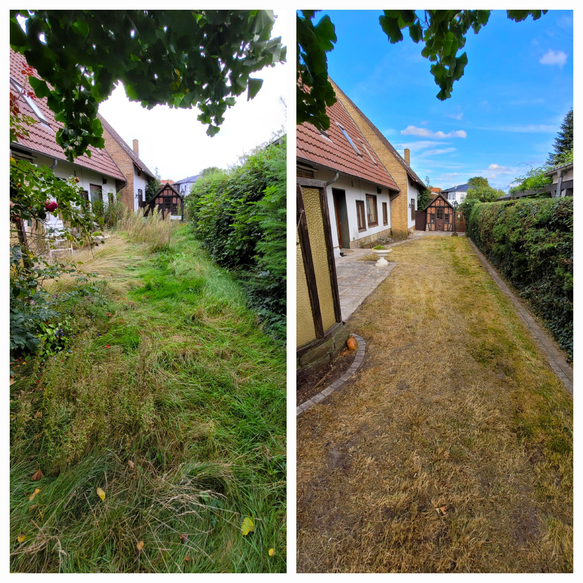 Vorher und Nachher: Rasen gemäht und Hecke geschnitten