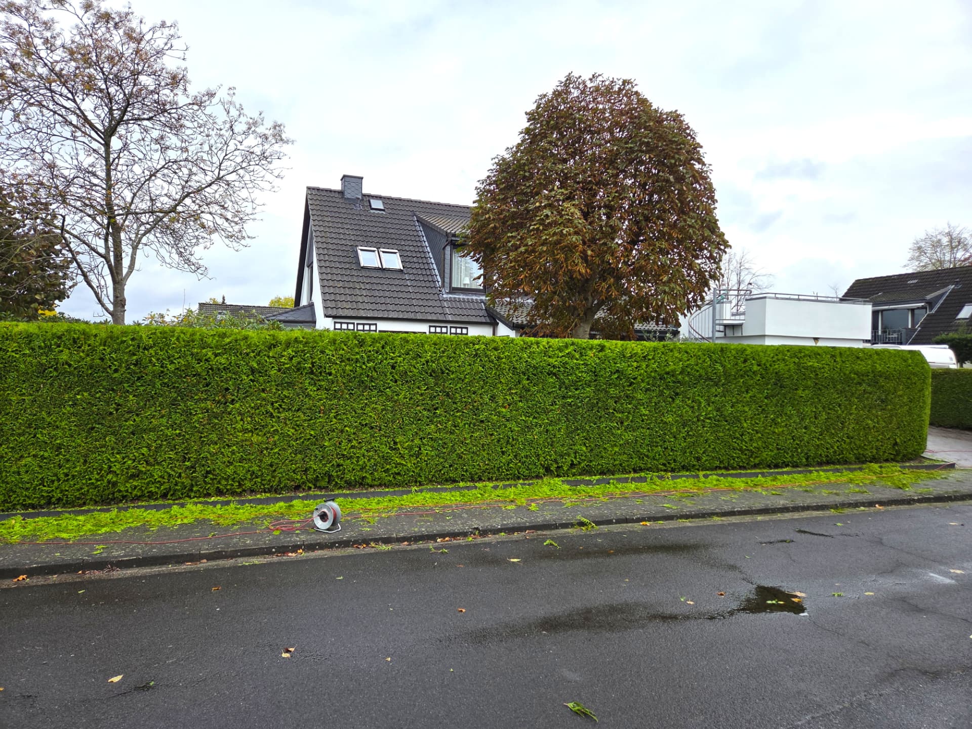 Geradlinig geschnittene Sichtschutzhecke